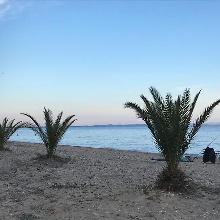Park Apartment Paralia Dionysiou Buitenkant foto